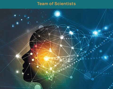 Part 2 – THE NEURONS